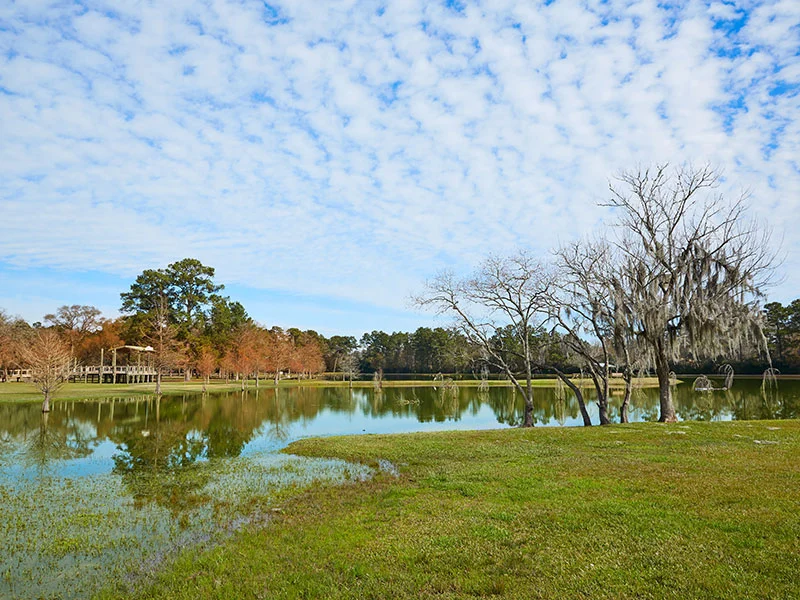 Experienced Legal Support for IRS and State Tax Audits